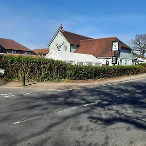 The Roebuck United Kingdom